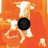 Moby - Everything Was Beautiful, and Nothing Hurt (Remixes)