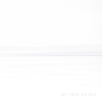 Foo Fighters - But Here We Are