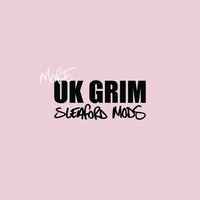 Sleaford Mods - More uk grim