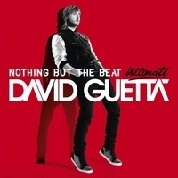 David Guetta - Nothing but the Beat