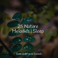 Study Music feat Relaxed Minds, Baby Sweet Dream - 25 Nature Melodies Sleep