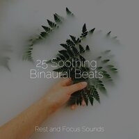 Study Music feat Meditation Zen, Ambient Forest - 25 Soothing Binaural Beats