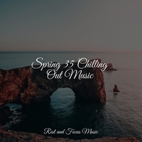 Study Music feat Bedtime Baby, Musica Para Dormir y Sonidos de la Naturaleza - Spring 35 Chilling Out Music