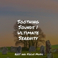 Study Music feat Deep Sleep Music Academy, Reiki Music - Soothing Sounds - Ultimate Serenity
