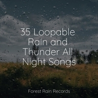 Study Music feat Shakuhachi Sakano, Ambiente - 35 Loopable Rain and Thunder All Night Songs