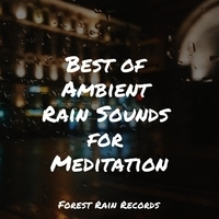 Study Music feat Pure Serenity Spa Music and Massage Collective Garden and Zen Relaxation Meditation, Baby Sweet Dream - Best of Ambient Rain Sounds for Meditation