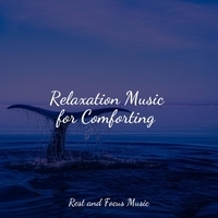 Study Music feat Life Sounds Nature, Calm shores - Relaxation Music for Comforting