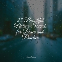 Study Music feat Nature Sound Series, Regengerausche - 25 Beautiful Nature Sounds for Peace and Practice