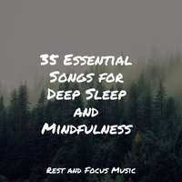 Study Music feat Namaste Healing Yoga, Entspannungsmusik - 35 Essential Songs for Deep Sleep and Mindfulness