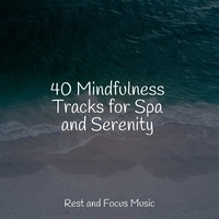 Study Music feat Musique Zen Garden, Academia de Meditacao Buddha - 40 Mindfulness Tracks for Spa and Serenity