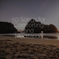 Study Music feat Deep Horizon Waves, Nature Sounds Collection - 50 Songs for Comforting and Meditation