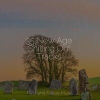 Study Music feat Pro Sound Effects Library, Alpha Brain Waves - 35 New Age Chilling Out Tracks