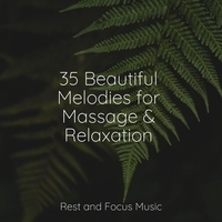 Study Music feat Echoes of Nature, Amazing Spa Music - 35 Beautiful Melodies for Massage and Relaxation
