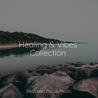 Study Music feat Binaural Beats, Namaste Yoga - Healing and Vibes Collection