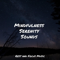 Study Music feat The White Noise Zen and Meditation Sound Lab, Chakra Meditation Universe - Mindfulness Serenity Sounds