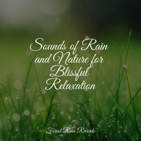 Study Music feat White Noise Sleep Sounds, Musica relajante - Sounds of Rain and Nature for Blissful Relaxation