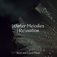 Study Music feat The Sleep Specialist, Sleeping Baby Songs - Winter Melodies - Relaxation
