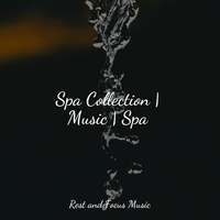 Study Music feat Musica para Massagem Especialistas, Sleep Meditation Dream Catcher - Spa Collection - Music - Spa