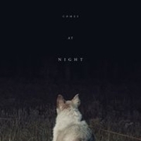 Из фильма "Оно приходит ночью" / "It Comes at Night"