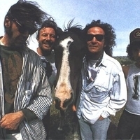 Neil Young & Crazy Horse