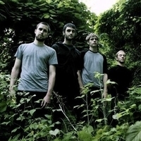 Orgone