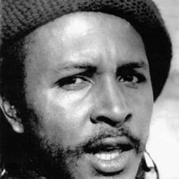 Willi Williams
