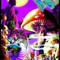 Cosmic Station
