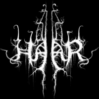 Haar