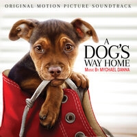 Из фильма "Путь домой / A Dog's Way Home"