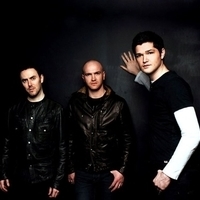 The Script