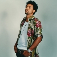 Shaggy