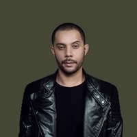 Wildstylez