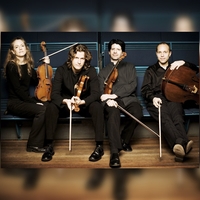 Vitamin String Quartet
