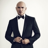 Pitbull