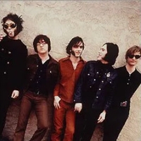 The Brian Jonestown Massacre