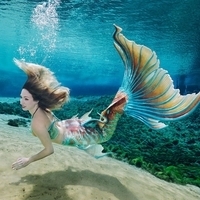 Mermaid