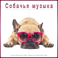 Собачья музыка