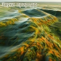 Счастливый камин