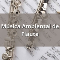 Relajaciones Ambientales