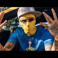 Alex K