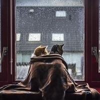 Звуки грозы